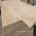 Pine Plywood